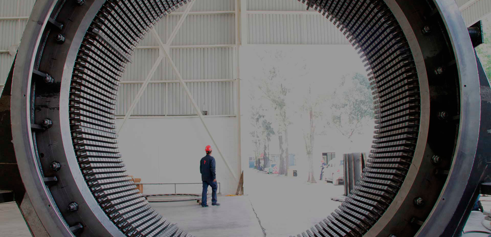 Reliance de México